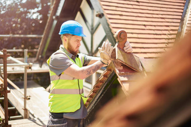 Best Metal Roofing Contractor  in Bodfish, CA